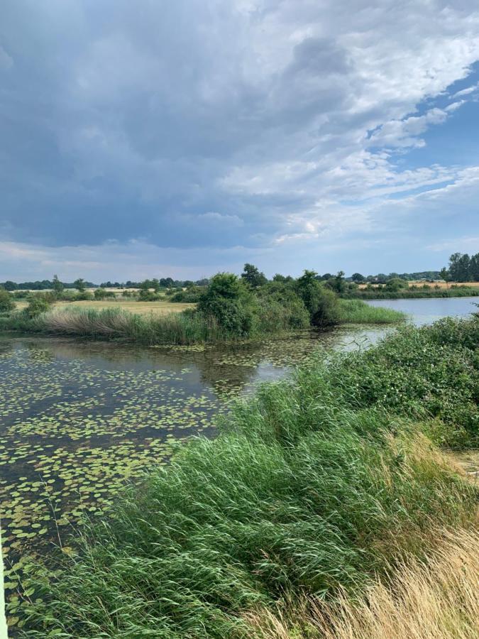 Das Haus Am Teich Besitz Екстериор снимка